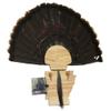 Esh Turkey Fan Mount Kit - Customized State Turkey Tail Mounting Plaque - Natural Oak Wood - Arkansas view 1
