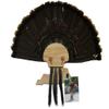 Esh Turkey Fan Mount Kit - Customized State Turkey Tail Mounting Plaque - Natural Oak Wood - Kentucky view 1