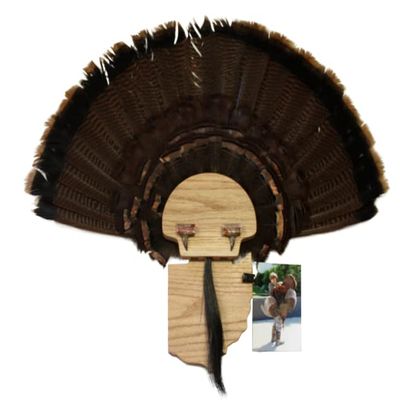 Esh Turkey Fan Mount Kit - Customized State Turkey Tail Mounting Plaque - Natural Oak Wood - Ohio
