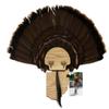 Esh Turkey Fan Mount Kit - Customized State Turkey Tail Mounting Plaque - Natural Oak Wood - Ohio view 1