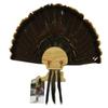 Esh Turkey Fan Mount Kit - Customized State Turkey Tail Mounting Plaque - Natural Oak Wood - Virginia view 1