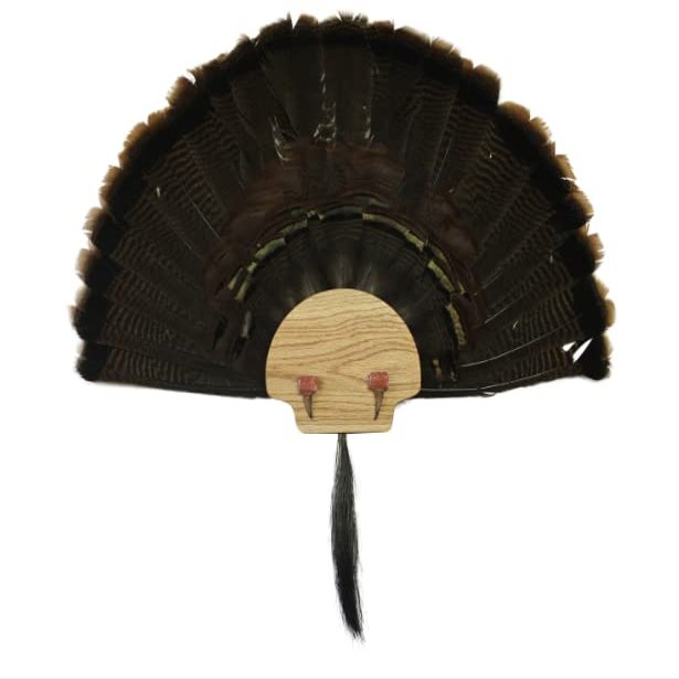Esh Turkey Fan Mount Kit - Customized State Turkey Tail Mounting Plaque - Natural Oak Wood - Standard