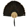 Esh Turkey Fan Mount Kit - Customized State Turkey Tail Mounting Plaque - Natural Oak Wood - Standard view 1