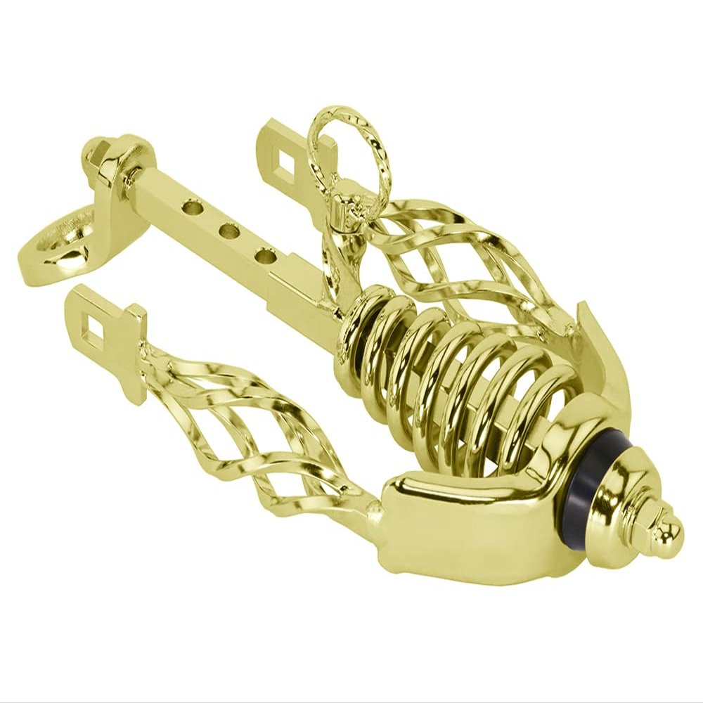 Lowrider Bike Spring Fork Slammer W/Cage Twisted Extended Crown Gold.