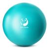 Slim Panda Pilates Ball, 9 Inch Small Exercise Ball, Anti Burst Mini Yoga Ball for Stability, Workout, Barre, Core Strength, Physical Therapy, Balance, Stretching view 1