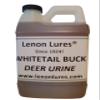 Lenon's Urine Choose Grey Fox, Rabbit, Mountain Lion, Raccoon, Doe Urine and Buck Urine - 4 oz to Gallon (Whitetail Buck Urine, Half Gallon Bottle) view 1