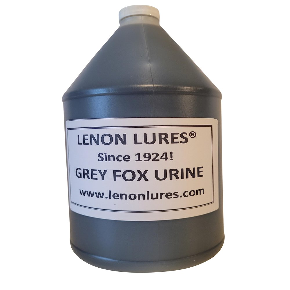 Lenon's Urine Choose Grey Fox, Rabbit, Mountain Lion, Raccoon, Doe Urine and Buck Urine - 4 oz to Gallon (Grey Fox Urine, Gallon Bottle)