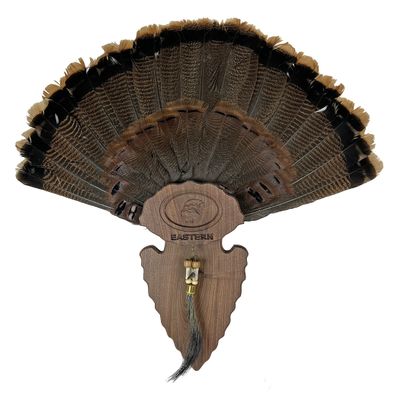 Carved Turkey Tail Mounting Kit w/ Beard and Spur Display Options - Customizeable for All Species! (Walnut - Arrowhead)