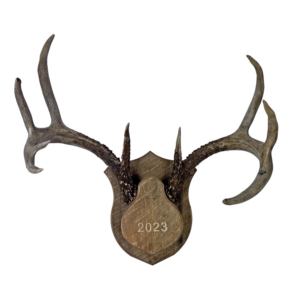 Barnwood Deer Antler / Horn Mounting Kit - Custom & Personalized Plaque / Mount - Includes Everything You Need!