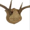 Barnwood Deer Antler / Horn Mounting Kit - Custom & Personalized Plaque / Mount - Includes Everything You Need! view 3