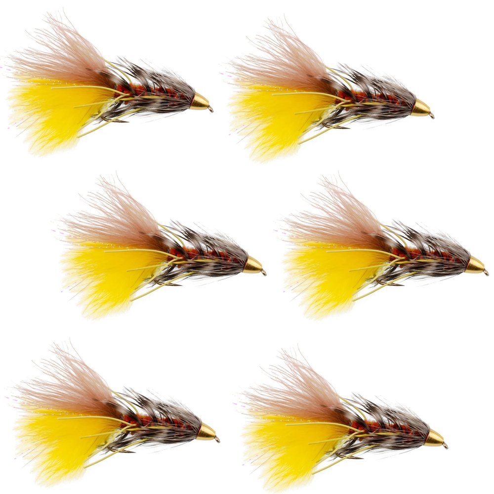The Fly Fishing Place Conehead JJ Special Bugger Fly Fishing Flies - Set of 6 Bass and Big Trout Streamers Fly Fishing Fly - 6 Flies Size 8