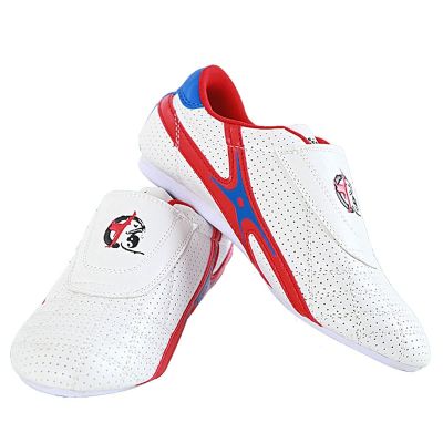 DAFLIN Taekwondo Shoes, Taekwondo Boxing Shoes Gym Martial Arts Shoes for Adult (Color : White, Size : 44 EU)