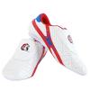 DAFLIN Taekwondo Shoes, Taekwondo Boxing Shoes Gym Martial Arts Shoes for Adult (Color : White, Size : 41 EU) view 1