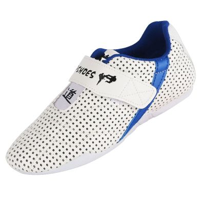 DAFLIN Taekwondo Shoes Breathable Sport Lightweight Shoes for Children Teenager Taekwondo Karate Sport Boxing Kung Fu Taichi Martial Arts (Color : White, Size : 44 EU)
