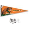 College Flags & Banners Co. Florida A&M Rattlers Pennant Flag and Wall Tack Mount Pads view 1