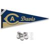 College Flags & Banners Co. UC Davis Aggies Pennant Flag and Wall Tack Mount Pads view 1