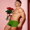 Arjen Kroos Men's Sexy Trunks Sheer Mesh Underwear Novelty Low Rise Lingerie Green view 2