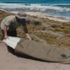 Creatures of Leisure Hardwear Board Sox, Heavy Duty Canvas, Weather-resistant, Diamond Tech 2.0, Barrel Lock Drawstring Closure, Military, 6'7" view 3
