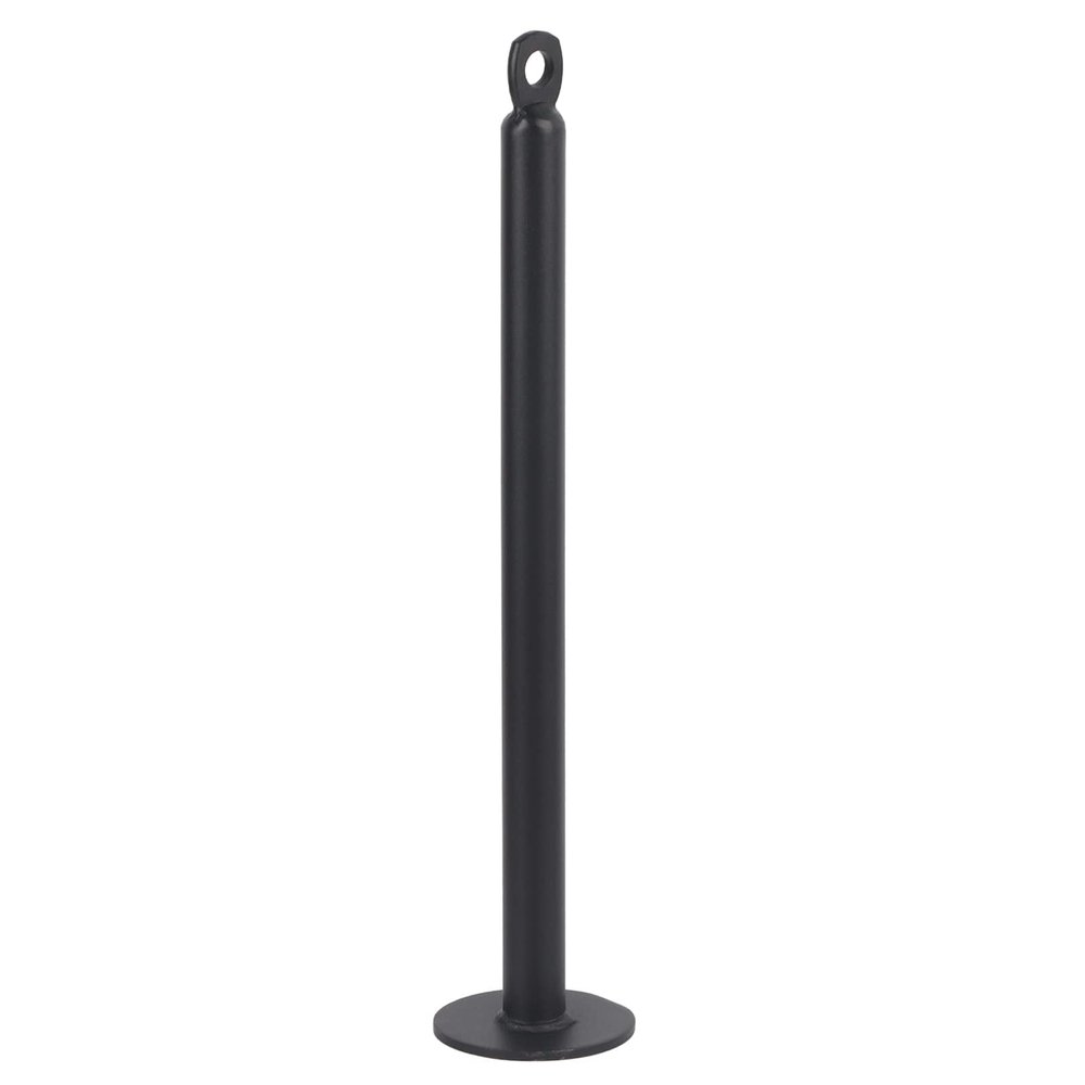 Barbell Slice Support Frame, Stainless Steel Fixed Bracket Loading Pin Loader Weight Plate Loading Pen for Home Gym Strength Training (20mmx320mm)