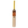 SS Rapier Cricket Kashmir Willow Cricket Bat,Bat Cover Included : Adult Size, Short Handle - Full Size view 3