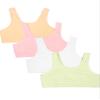 Fruit of The Loom Girls Cotton Built-up Stretch Sports Bra, Lentil/Mango/Pink/White, 36 US view 1