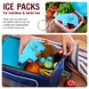 Monkey Business Kids Reusable Ice Packs Perfect For Lunch Boxes. Fun, Slim Freezer Packs Your Kids Will Love (Pack of 4) view 2