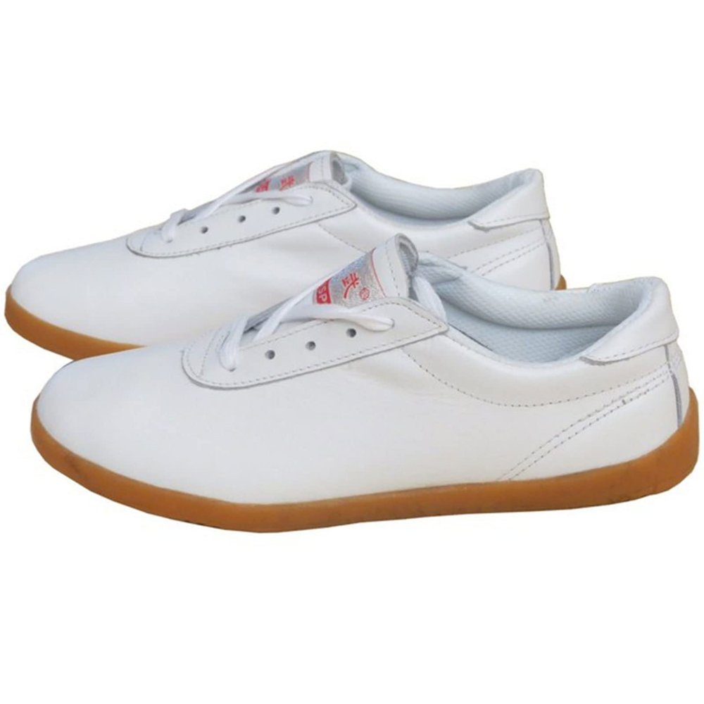 DAFLIN Taekwondo Shoes, Breathable Kung Fu Tai Chi Shoes for Adults and Kids (Color : White, Size : 10.5 US)