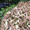CHEVVY 2x3m Camouflage Net Patio Shade Netting Garden Sun Screen Outdoor Military Netting for Hunting Shooting Camping Party Decoration (Size : 8x10m/26.2x32.8ft) view 4