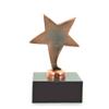 SHOP AWARDS AND GIFTS Star Trophy with Custom Plate, Engravable Customizable Award, Personalized, Employee Recognition Work School Leader Sport, 6 Inch, Bronze view 3