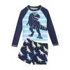 Toddler Boy Swim Trunks Summer Toddler Boys Girls Cartoon Dinosaur Printed Two Piece Swimwear (b-Blue, 8-9 Years) view 1