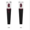 AB6IX Official Light Stick view 2