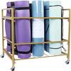 Scpantkend Yoga Mat Storage Rack Large Capacity Foam Roller Standing Holder, Double Layer Floor Yoga Mat Rack Stand with Accessaries, for Gym, Indoor Activities view 1