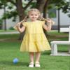 AGQT Toddler Girls Summer Dress Loose Fit Swiss Dots Flowy Pleated Dress Ruffle Babydoll Birthday Chiffon Dress Easter Dresses Light Yellow Size 1-2T view 3