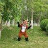 Beautiful Fox Cartoon Costume Mascot Cosplay For Adult view 2