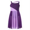 Shinsto Kids Girls Lyrical Dance Dress Sleeveless Color Block Chiffon Leotard Dresses Modern Contemporary Costumes Purple 12 Years view 3