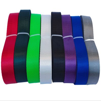 MONIDOOR Nylon Webbing 1 Inch 48 Yards Durable Flat Nylon Strap Belt 8 Colors for Backpack,Cargo Strap,Pet Leash or Collar,Gardening,Craft(1206 Mixed Color 6,1 Inch)