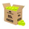 Diadem The Official Outdoor Pickleball Balls | USAPA Approved Tournament Ball - 40 Hole Seamless Mold for Outdoor Play (50 Pack, Neon Yellow) view 1