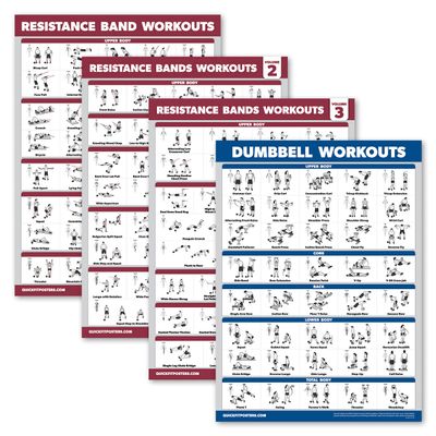 Palace Learning 4 Pack - Resistance Bands Workout Posters Volume 1, 2 & 3 + Dumbbell Exercise Chart (LAMINATED, 18" x 24")