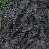 CHEVVY Camo Netting 2x3m, Outdoor Camouflage Netting, Military Camouflage Shade Netting for Hunting Blinds Shooting Camping Party Decoration (Size : 4x6m/13x19.7ft) view 4