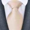 Branduce Mens Champagne Ties for Wedding Solid Woven Silk Necktie Tuxedo Party Classic Business Ties(TA02-10) view 2