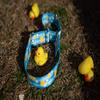Country Brook Design - Just Ducky Polyester Webbing (5/8 Inch, 20 Yards) view 3