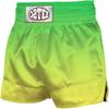 O2TEE Design Your Own Premium World MMA Gear Sport Shorts Traditional Styles Fight Wear,Green Gradient XXL view 2