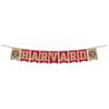 Harvard Crimson Banner String Pennant Flags view 1