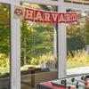 Harvard Crimson Banner String Pennant Flags view 3