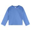 Gerber Unisex Baby Toddler UPF 50+ Long Sleeve Rashguard Swim Rash Guard Shirt, Blue, 6-9 Months US