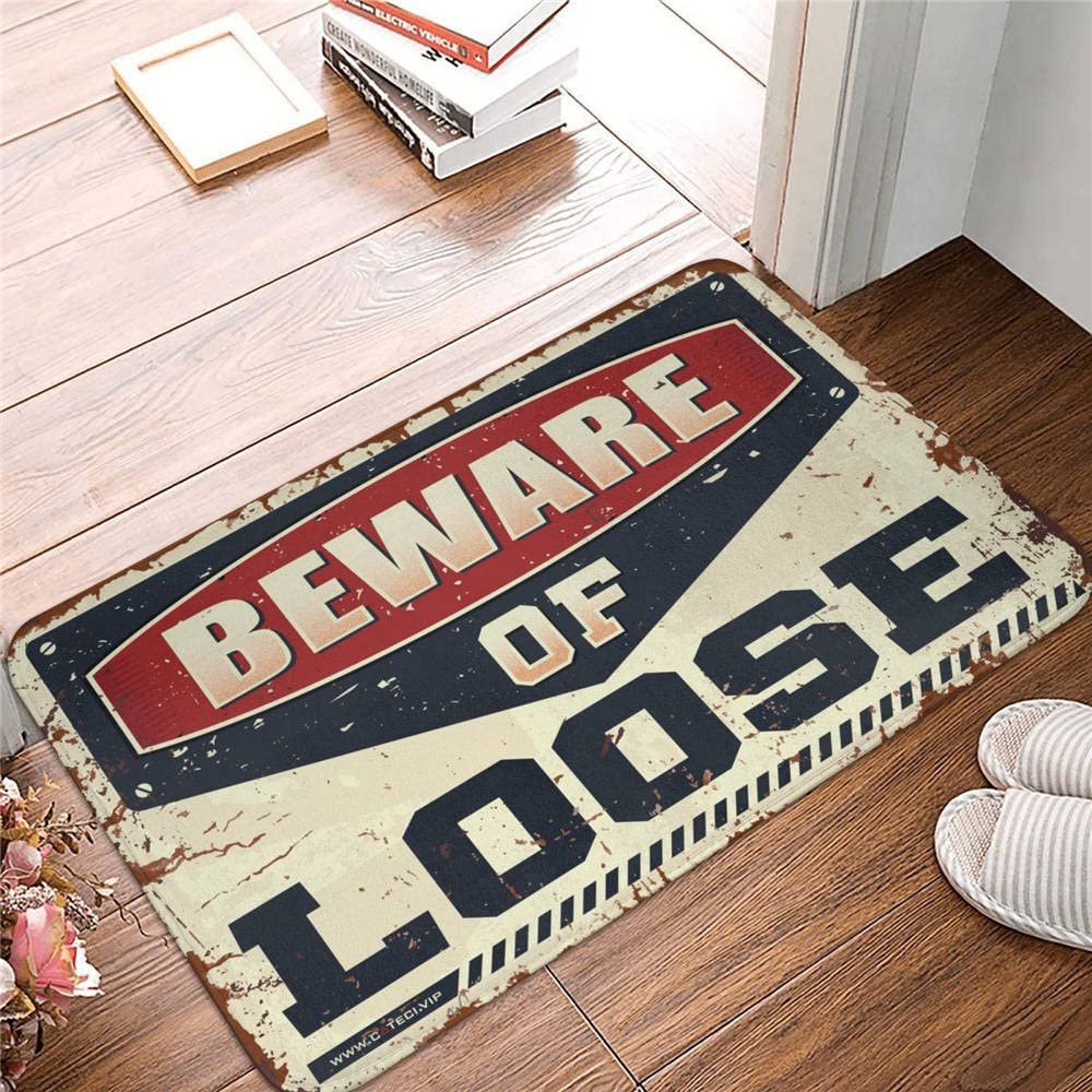 Abipuir Fall Welcome Mats Outdoor Beware of Loose Rug Retro Decor Spring Porch Decor (Size : 65X90CM)