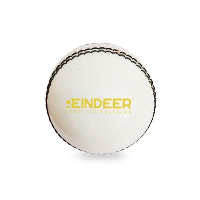 REINDEER Cricket Ball for Practice l PVC Cricket Soft Ball l Training Match Ball Recommended for Gali, Indoor/Outdoor Cricket