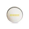 REINDEER Cricket Ball for Practice l PVC Cricket Soft Ball l Training Match Ball Recommended for Gali, Indoor/Outdoor Cricket view 1