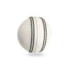 REINDEER Cricket Ball for Practice l PVC Cricket Soft Ball l Training Match Ball Recommended for Gali, Indoor/Outdoor Cricket view 2