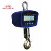 Liberty LS-924 Medium General Purpose Crane Scale for Luggage Weight Suitcase Hunting Farm Bike Bow Fish Weight Fishing Scale, Digital Hanging Scale (LCD Display) 500 lb x 0.1 lb view 3